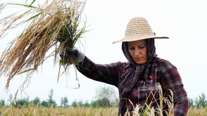 women-agriculture-1