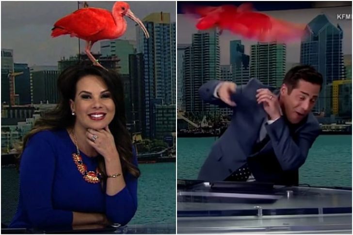 50 Times TV Anchors Made Hilarious Bloopers On Air - Page 30 of 50 ...